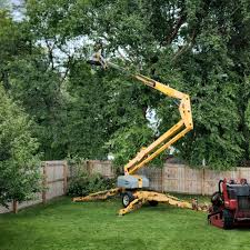 Best Firewood Processing and Delivery  in North Richmond, CA