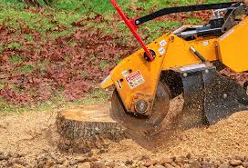 Best Hazardous Tree Removal  in North Richmond, CA